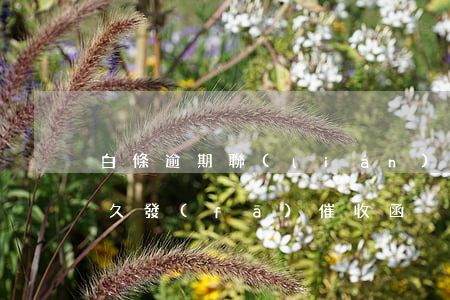 白條逾期聯(lián)系催收(白條逾期多久發(fā)催收函)