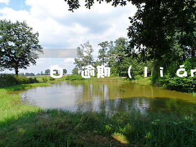 白條逾期聯(lián)系客服分期