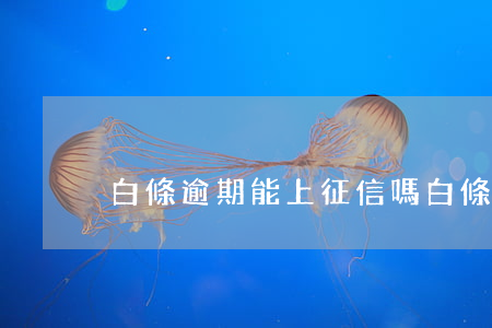 白條逾期能上征信嗎(白條逾期會上征信嗎?)