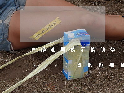白條逾期能不能助學(xué)貸款(助學(xué)貸款逾期能貸公積金嗎)