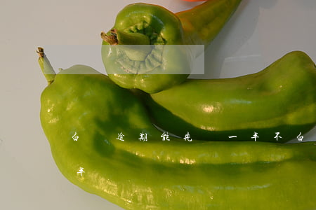白條逾期能先還一半不(白條逾期可以先還一半嗎)