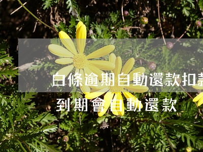 白條逾期自動還款扣款時(shí)間(白條到期會自動還款)