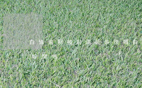 白條逾期被封還能恢復嗎(白條封了還完可以解開嗎)