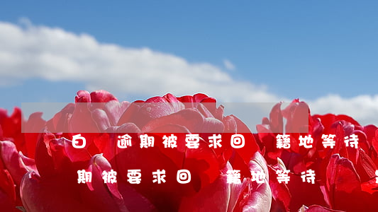 白條逾期被要求回戶籍地等待訴訟-白條逾期被要求回戶籍地等待訴訟是真的嗎