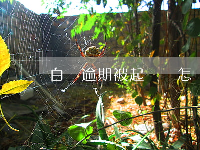白條逾期被起訴會怎樣 白條逾期被起訴會怎樣