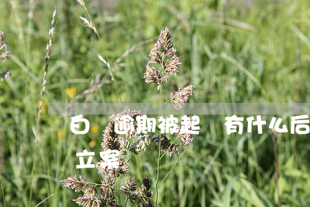 白條逾期被起訴有什么后果 白條逾期真的會立案嗎