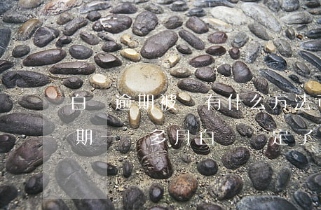 白條逾期被鎖有什么方法可以解鎖-白條逾期一個多月白條鎖定了還能解鎖嗎