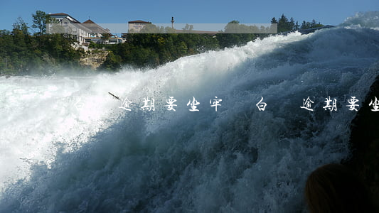 白條逾期要坐牢嗎(白條逾期要坐牢嗎)