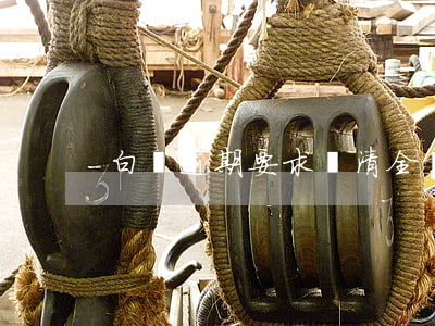 白條逾期要求還清全額