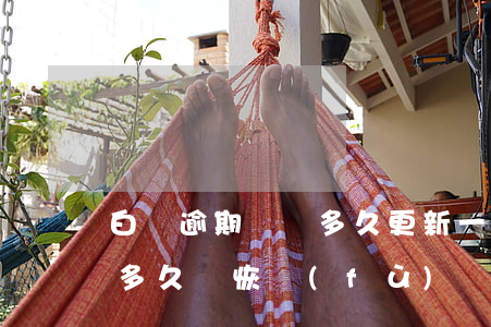 白條逾期記錄多久更新一次(白條逾期半個月多久會恢復(fù))