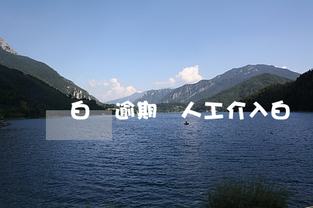 白條逾期說人工介入(白條逾期說人工介入)
