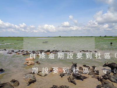 白條逾期說要到社區(qū)調查你(白條逾期說要到社區(qū)調查你)