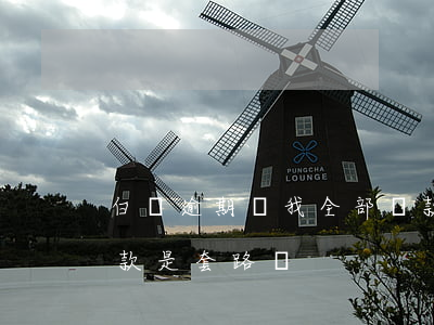 白條逾期讓我全部還款(白條逾期被要求還全款是套路嗎)
