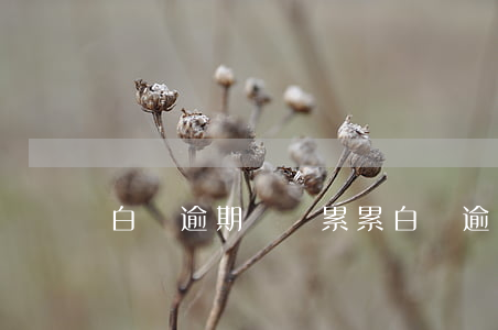 白條逾期負債累累(白條逾期催債)