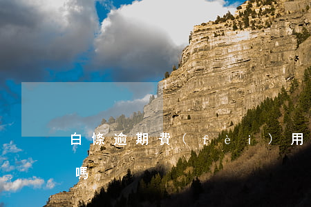 白條逾期費(fèi)用多少(白條可以逾期嗎)