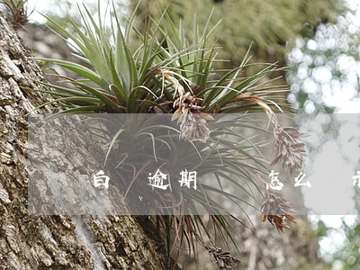 白條逾期賬單怎么顯示的(白條賬單日在哪里)