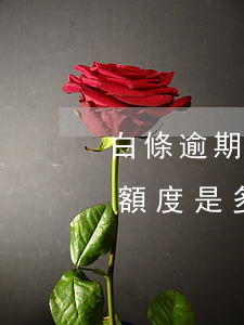 白條逾期賬戶異常鎖定(白條逾期鎖定解除后額度是多少)