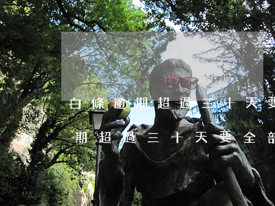 白條逾期超過三十天要全部還清嗎-白條逾期超過三十天要全部還清嗎怎么辦