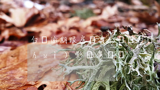 白條逾期跟房貸有影響嗎(白條正常還款會(huì)影響房貸嗎)