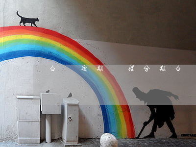 白條逾期辦理分期(白條分期還款逾期了怎么辦)