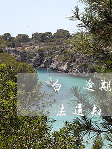 白條逾期送法務(wù)部(白條欠多久接司法通知)