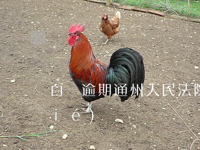 白條逾期通州人民法院(白條逾期被凍結(jié))