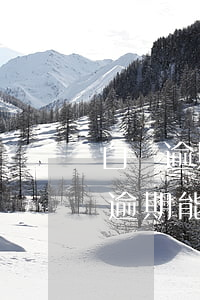 白條逾期過(guò)還能再貸房貸嗎(白條逾期能貸款嗎)