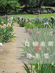白條逾期過但是還上了(白條逾期兩天還上有啥影響)