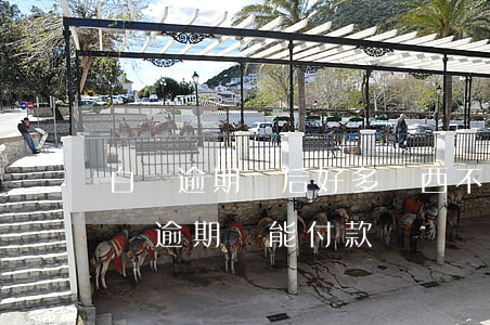 白條逾期過后,好多東西不能用白條付款了（白條逾期還能付款）