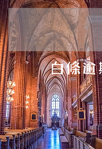 白條逾期過怎么提額