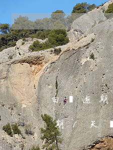 白條逾期過會(huì)影響房貸嗎(白條逾期1天會(huì)不會(huì)影響征信)