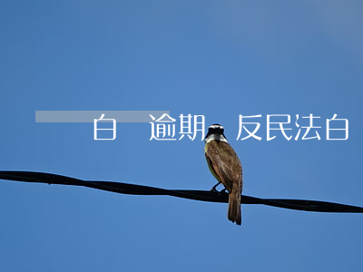白條逾期違反民法(白條逾期過)