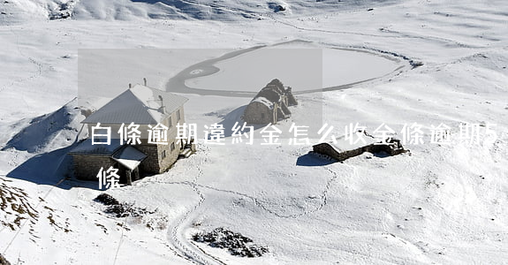 白條逾期違約金怎么收 金條逾期5天影響白條