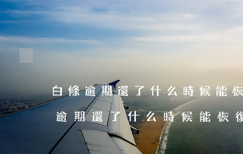 白條逾期還了什么時候能恢復(fù)(白條逾期還了什么時候能恢復(fù))