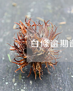 白條逾期還了會提額嗎-白條逾期還會怎樣