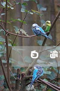 白條逾期還可以嗎 白條逾期還完還能用嗎