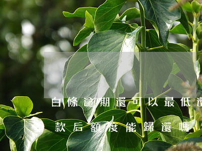 白條逾期還可以最低還款嗎(白條逾期以后還款后額度能歸還嗎)