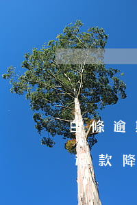 白條逾期還完怎么還降小白分 白條逾期2天還款降額度