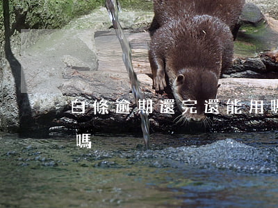 白條逾期還完還能用嗎(白條逾期還完后能用嗎)