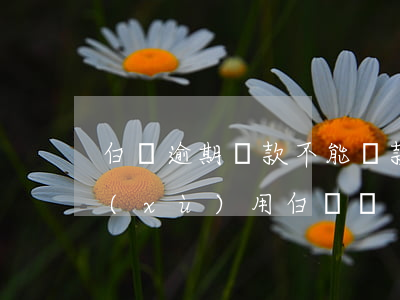 白條逾期還款不能貸款(白條逾期了還能繼續(xù)用白條嗎)