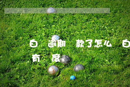 白條逾期還款了怎么辦(白條逾期還清后多久有額度)