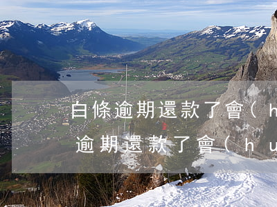 白條逾期還款了會(huì)上征信嘛(白條逾期還款了會(huì)上征信嘛)