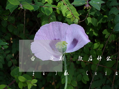 白條逾期還款后什么時(shí)間恢復(fù)取現(xiàn)-白條逾期還款后什么時(shí)間恢復(fù)取現(xiàn)額度