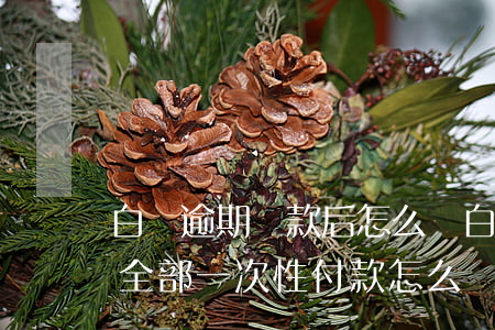 白條逾期還款后怎么辦(白條逾期還清后要求全部一次性付款怎么辦)
