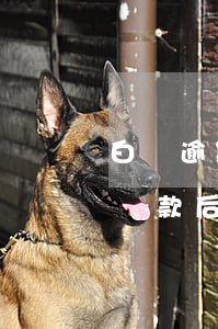 白條逾期還款后白條閃付不能用-白條逾期還款后白條閃付不能用怎么辦