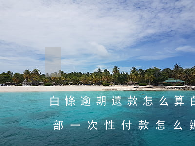 白條逾期還款怎么算(白條逾期還清后要求全部一次性付款怎么辦)