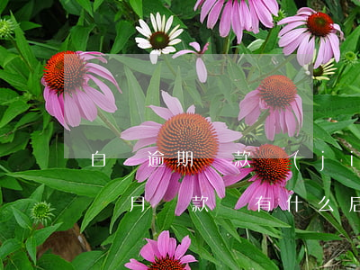 白條逾期還款結(jié)下期(白條逾期半個月還款會有什么后果)