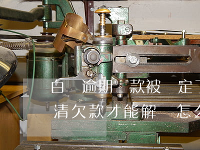 白條逾期還款被鎖定了(白條被鎖定了要求還清欠款才能解鎖怎么辦)