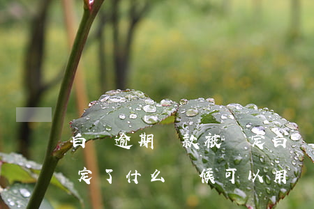 白條逾期還款被鎖定(白條逾期后,還完逾期,鎖定了什么時候可以用?)