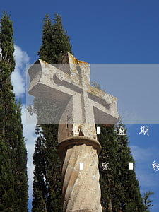 白條逾期還清了還可以用嗎(白條逾期一年后還完還能用)